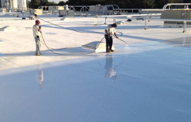 Untitled design (38)