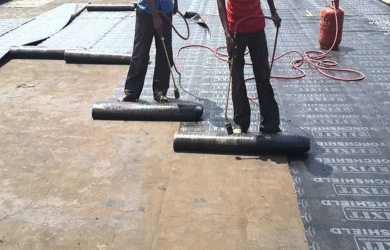 Untitled design (39)